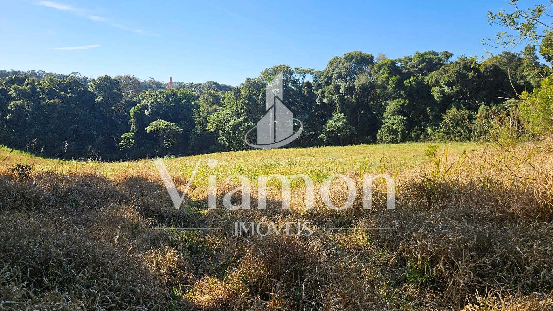 Chácara 7 Alqueires em Campo Magro  Ideal para Plantio e Lazer