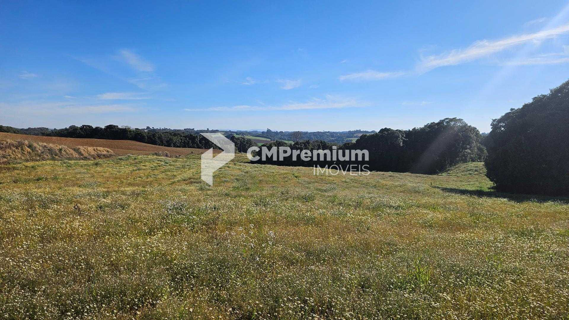 Chácara 7 Alqueires em Campo Magro  Ideal para Plantio e Lazer