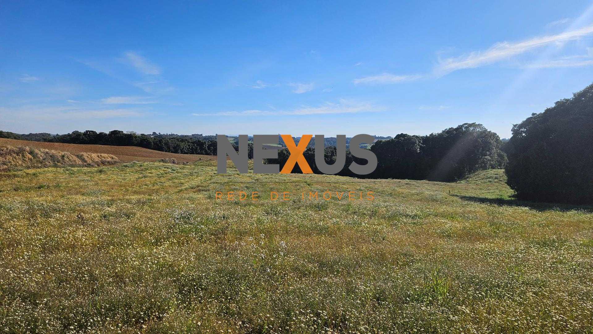 Chácara 7 Alqueires em Campo Magro  Ideal para Plantio e Lazer