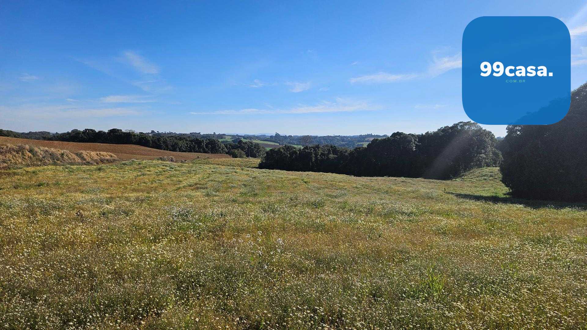 Chácara 7 Alqueires em Campo Magro  Ideal para Plantio e Lazer