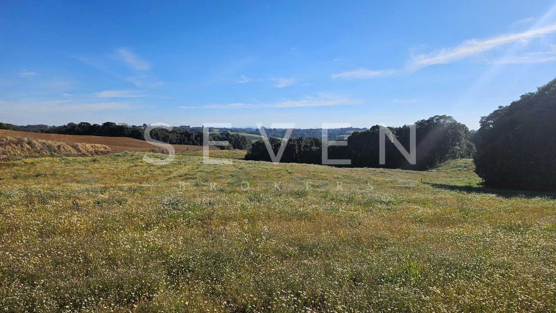 Chácara 7 Alqueires em Campo Magro  Ideal para Plantio e Lazer