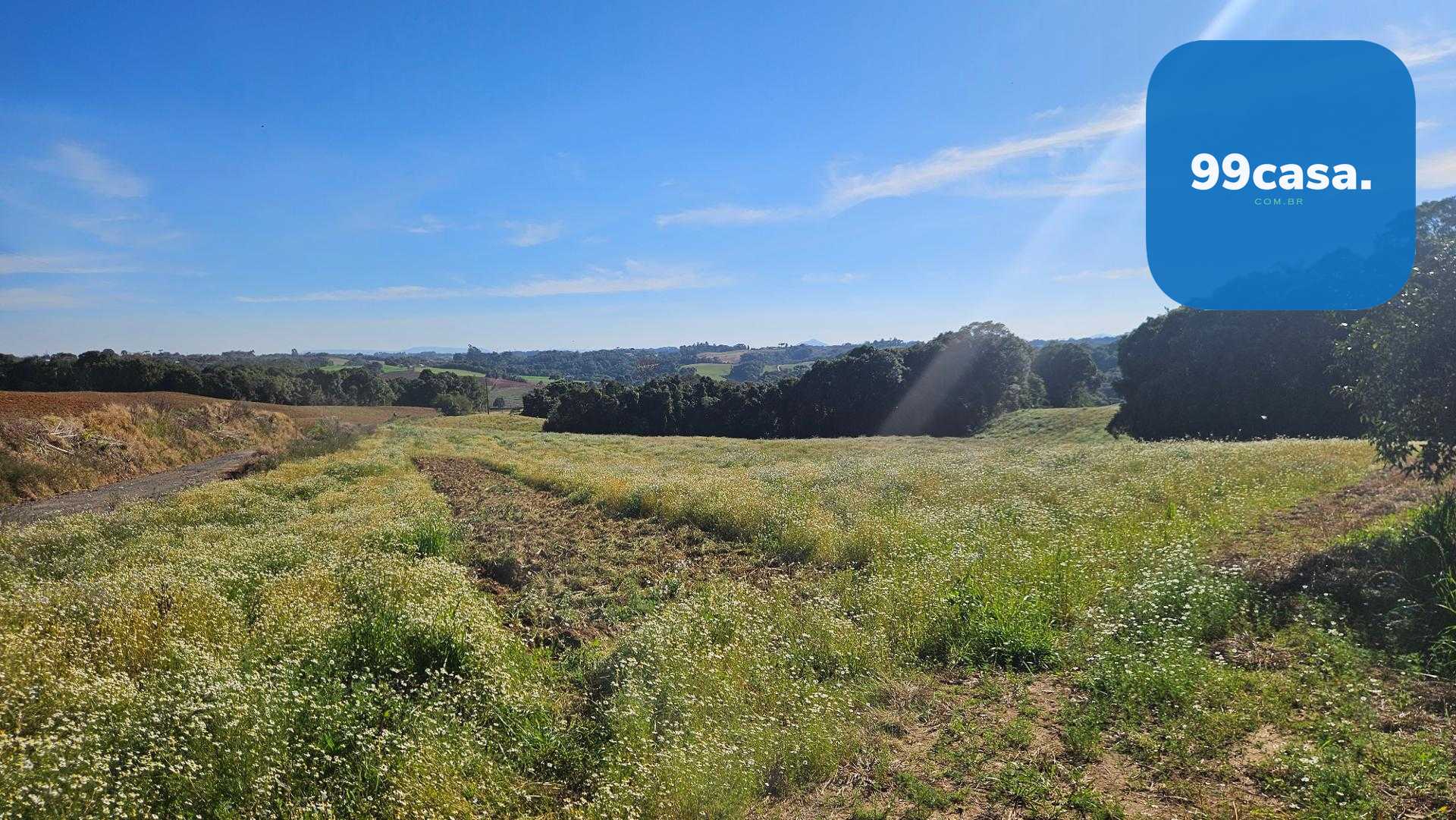 Área Rural de 7 Alqueires, 169.400m  com Rio e Córrego  Próxim...