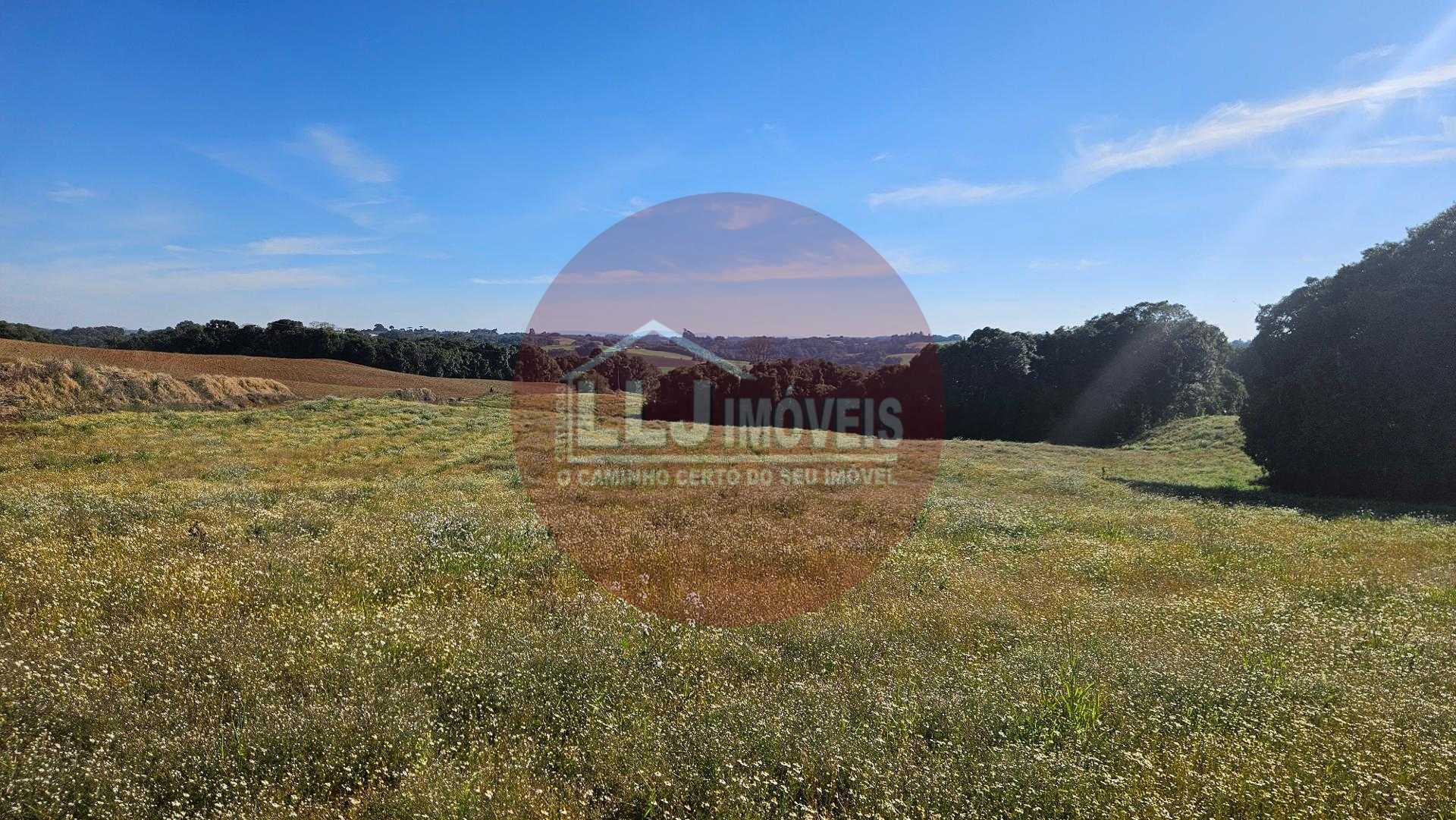 Área Rural de 7 Alqueires, 169.400m  com Rio e Córrego  Próxima a Curitiba