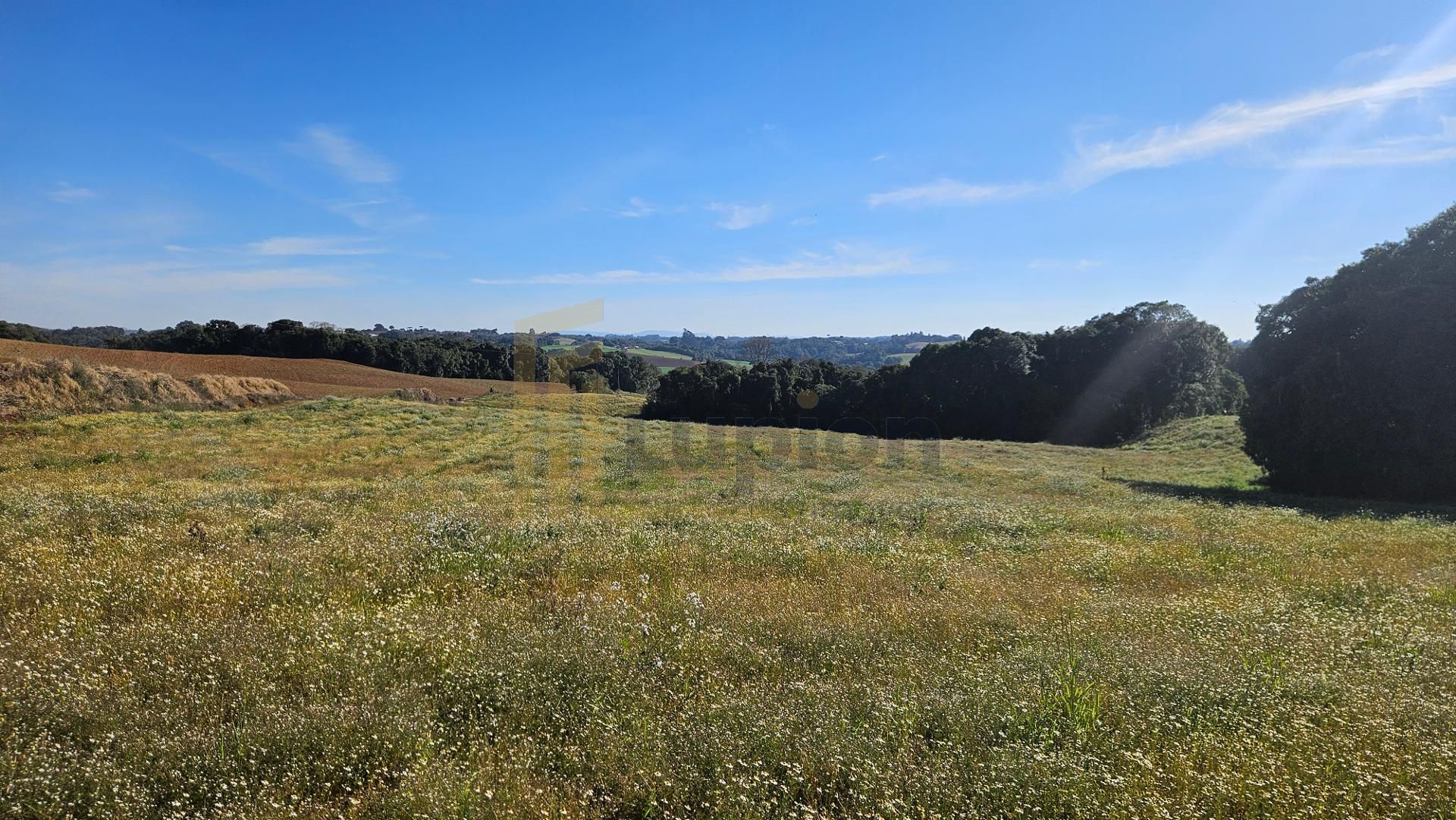 Área Rural de 7 Alqueires, 169.400m  com Rio e Córrego  Próxim...