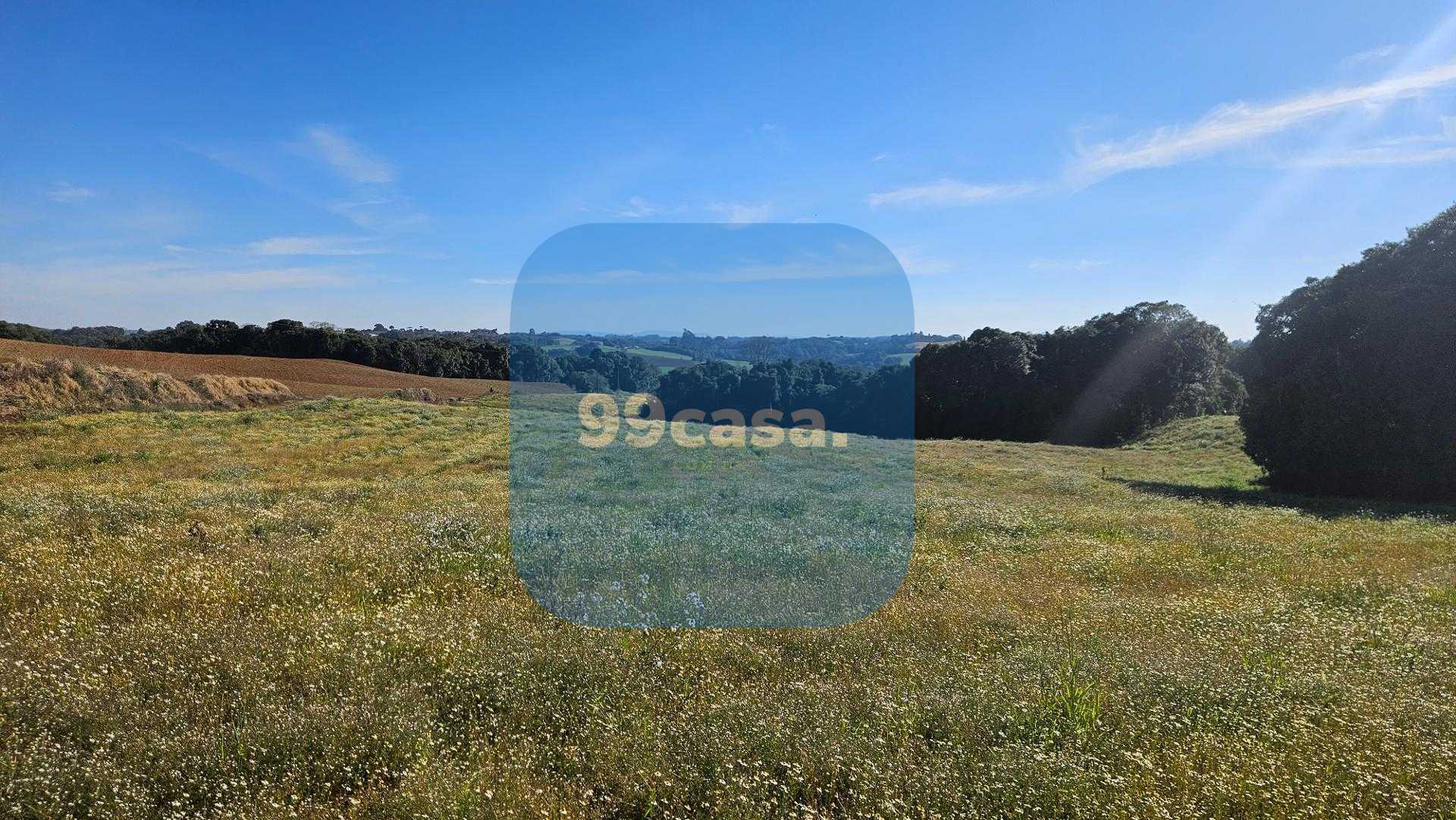 Lomas de Navarra  Mans?o Luxuosa com 4 Su?tes, Piscina e Conex...