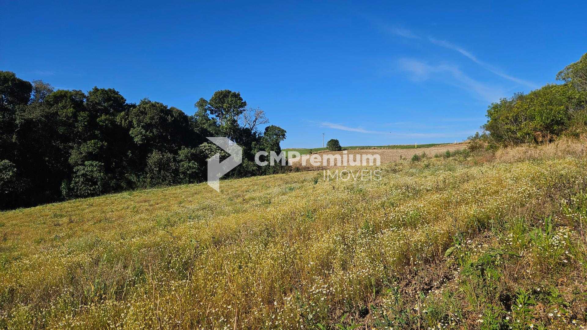 Área Rural de 7 Alqueires, 169.400m  com Rio e Córrego  Próxim...