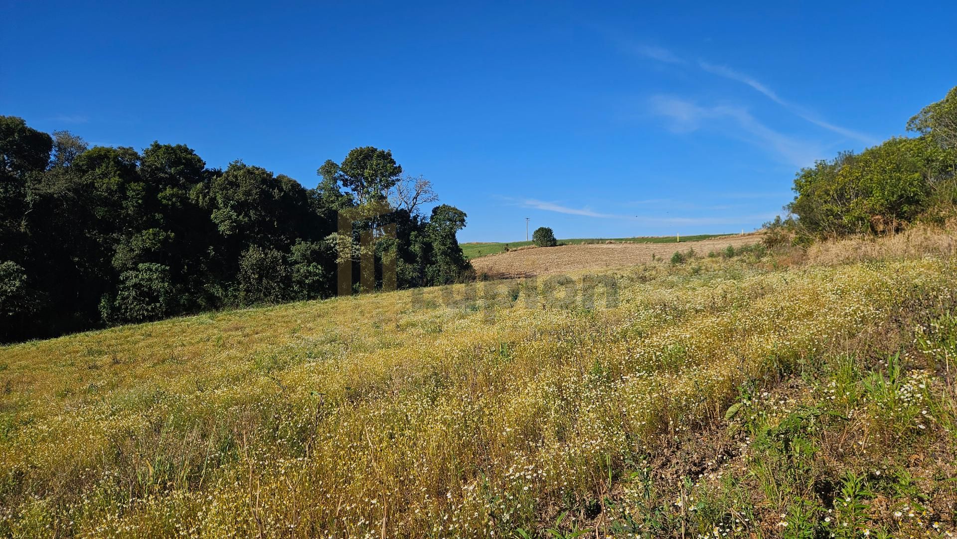 Área Rural de 7 Alqueires, 169.400m  com Rio e Córrego  Próxim...