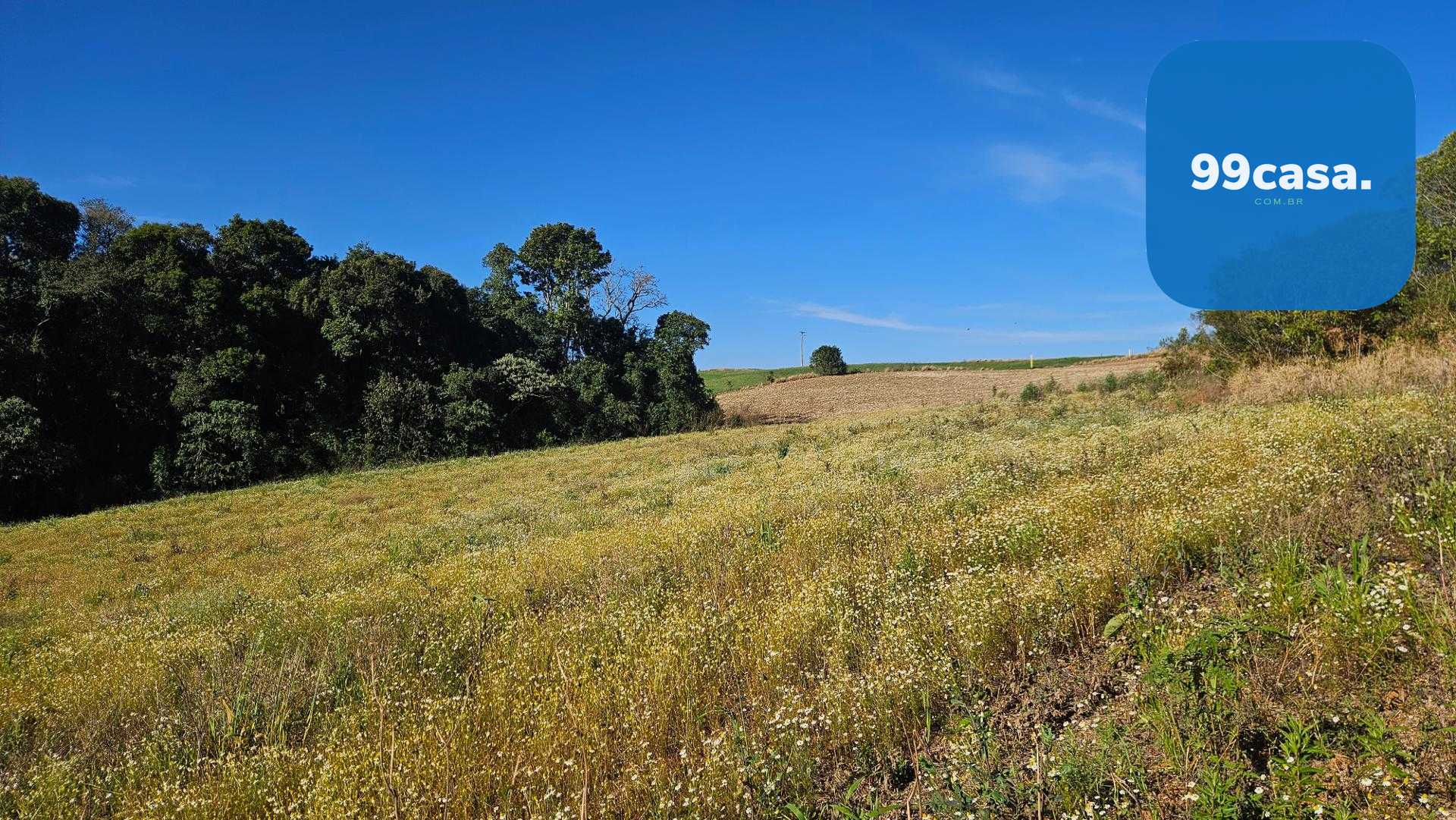 Área Rural de 7 Alqueires, 169.400m  com Rio e Córrego  Próxim...