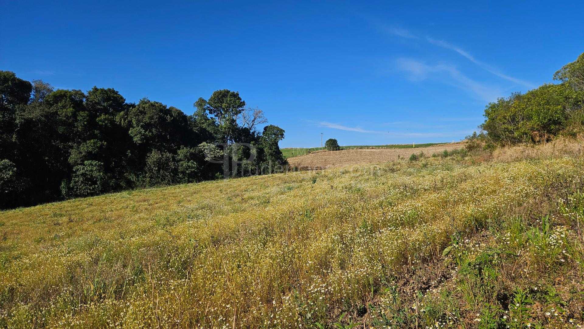 Área Rural de 7 Alqueires, 169.400m  com Rio e Córrego  Próxim...