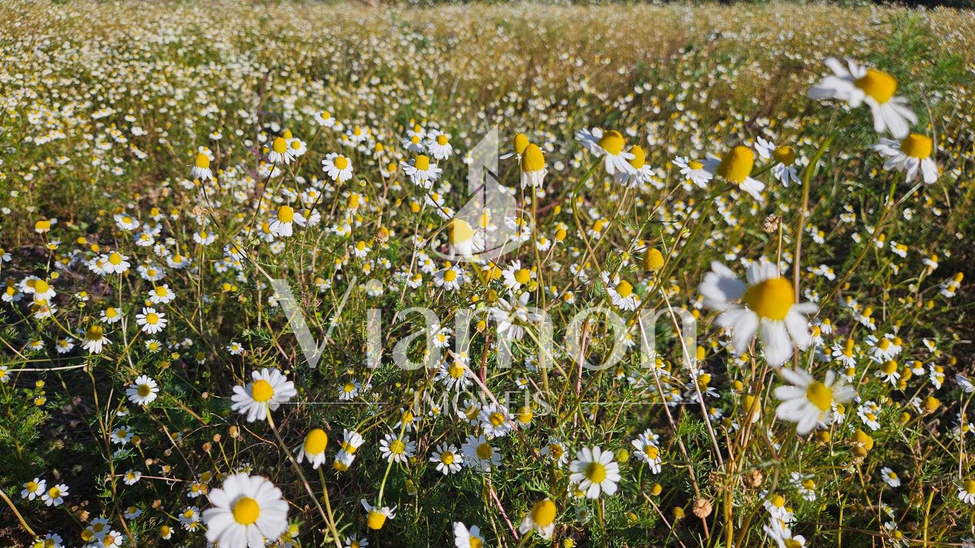 Área Rural de 7 Alqueires, 169.400m  com Rio e Córrego  Próxim...