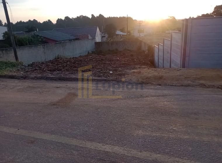 Terreno 250m  a 100m do Novo Hospital Regional  São José dos P...