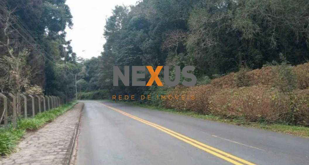 Terrenos Amplos na Rua Mato Grosso  Potencial para Condomínios...