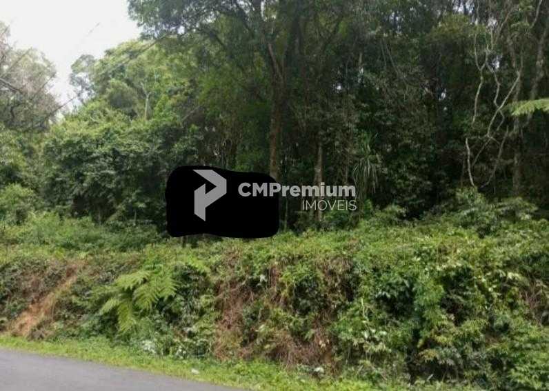 Terrenos Amplos na Rua Mato Grosso  Potencial para Condomínios...