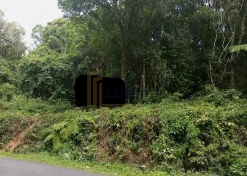 Terrenos Amplos na Rua Mato Grosso  Potencial para Condomínios...