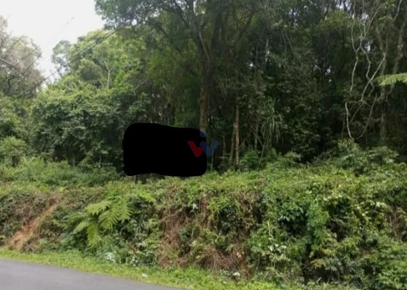 Terrenos Amplos na Rua Mato Grosso  Potencial para Condomínios...
