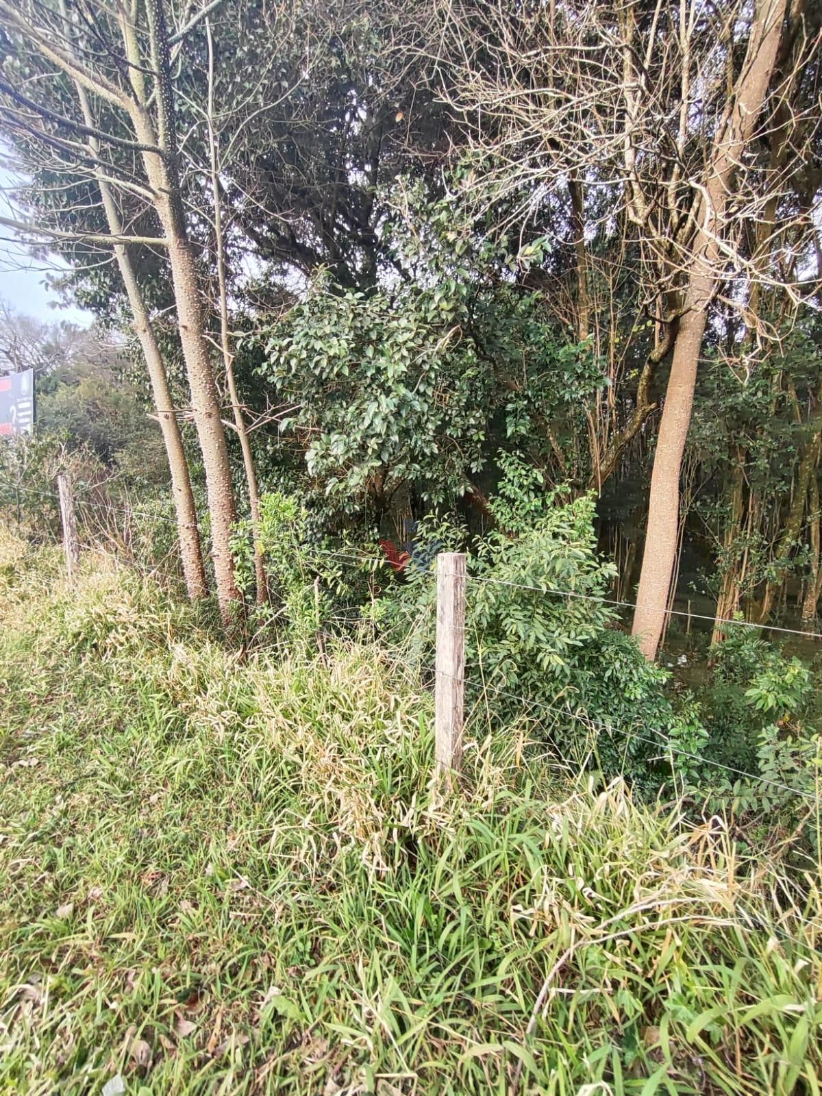 Terrenos à Venda em Araucária  Mais de 18.000 m  Cada | Inves...