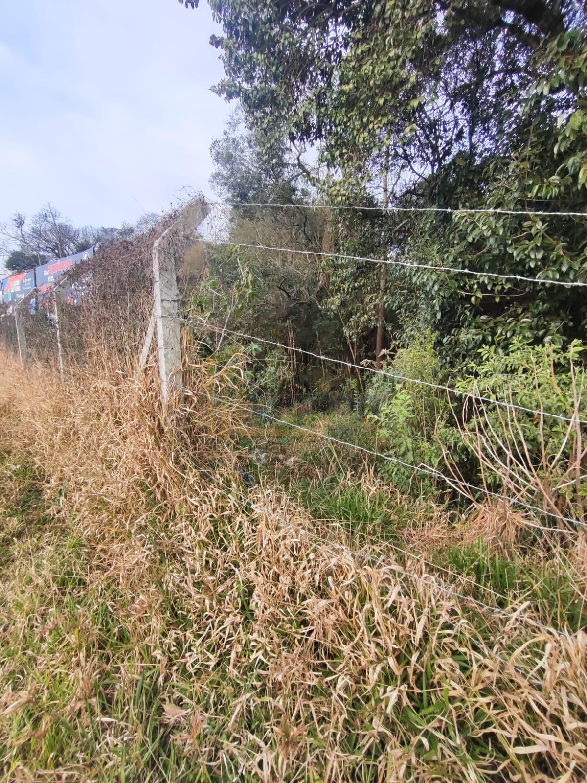 Terrenos à Venda em Araucária  Mais de 18.000 m  Cada | Inves...