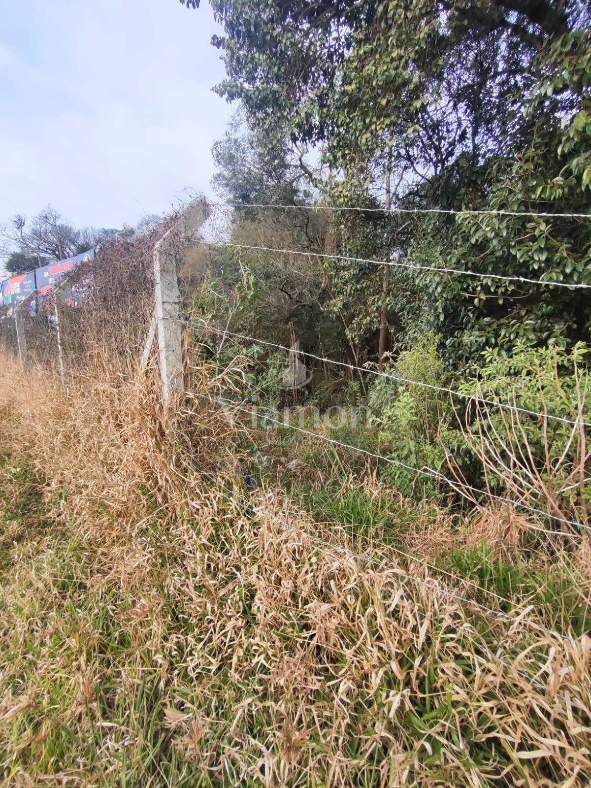 Terrenos à Venda em Araucária  Mais de 18.000 m  Cada | Inves...