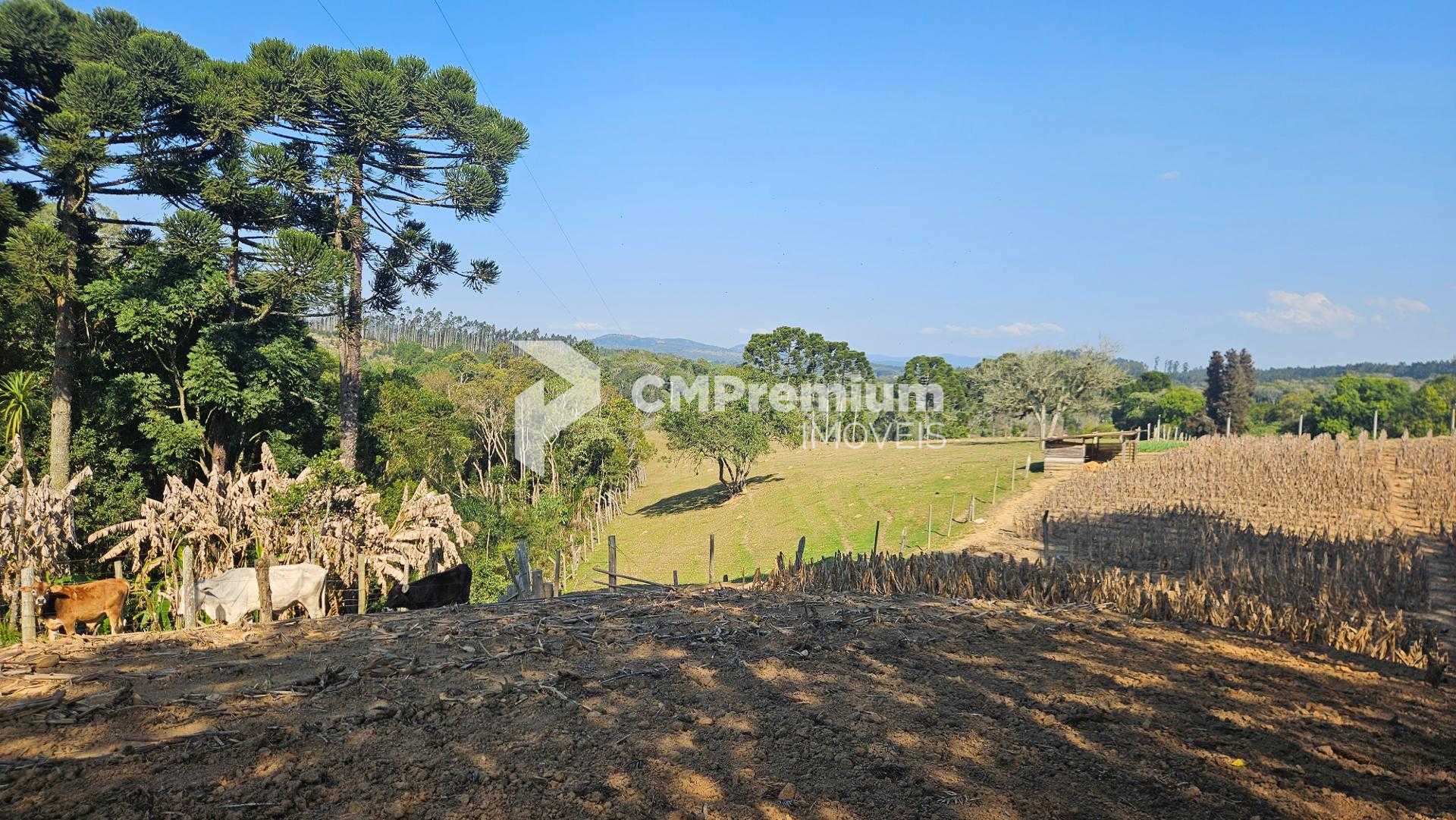 Chácara 20.000 m  em Mandirituba  Casa, pomar, nascentes e açude