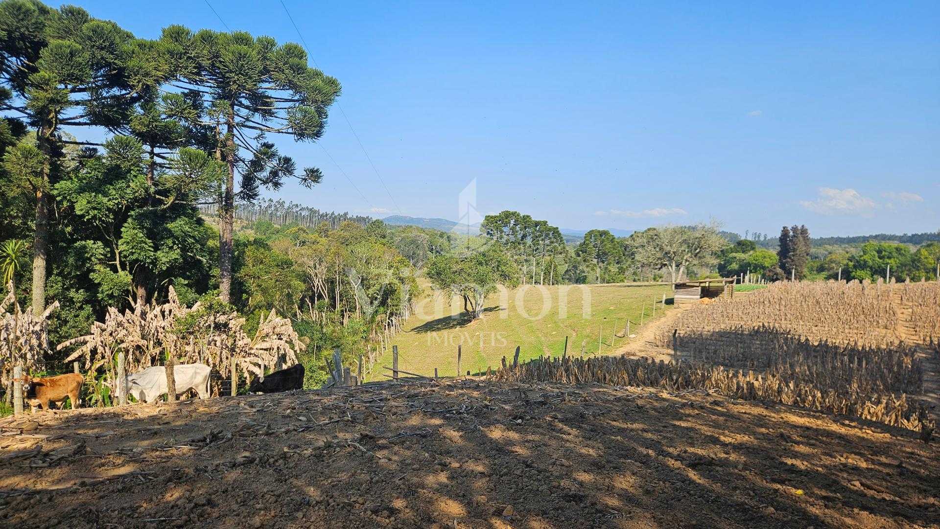 Chácara 20.000 m  em Mandirituba  Casa, pomar, nascentes e açude