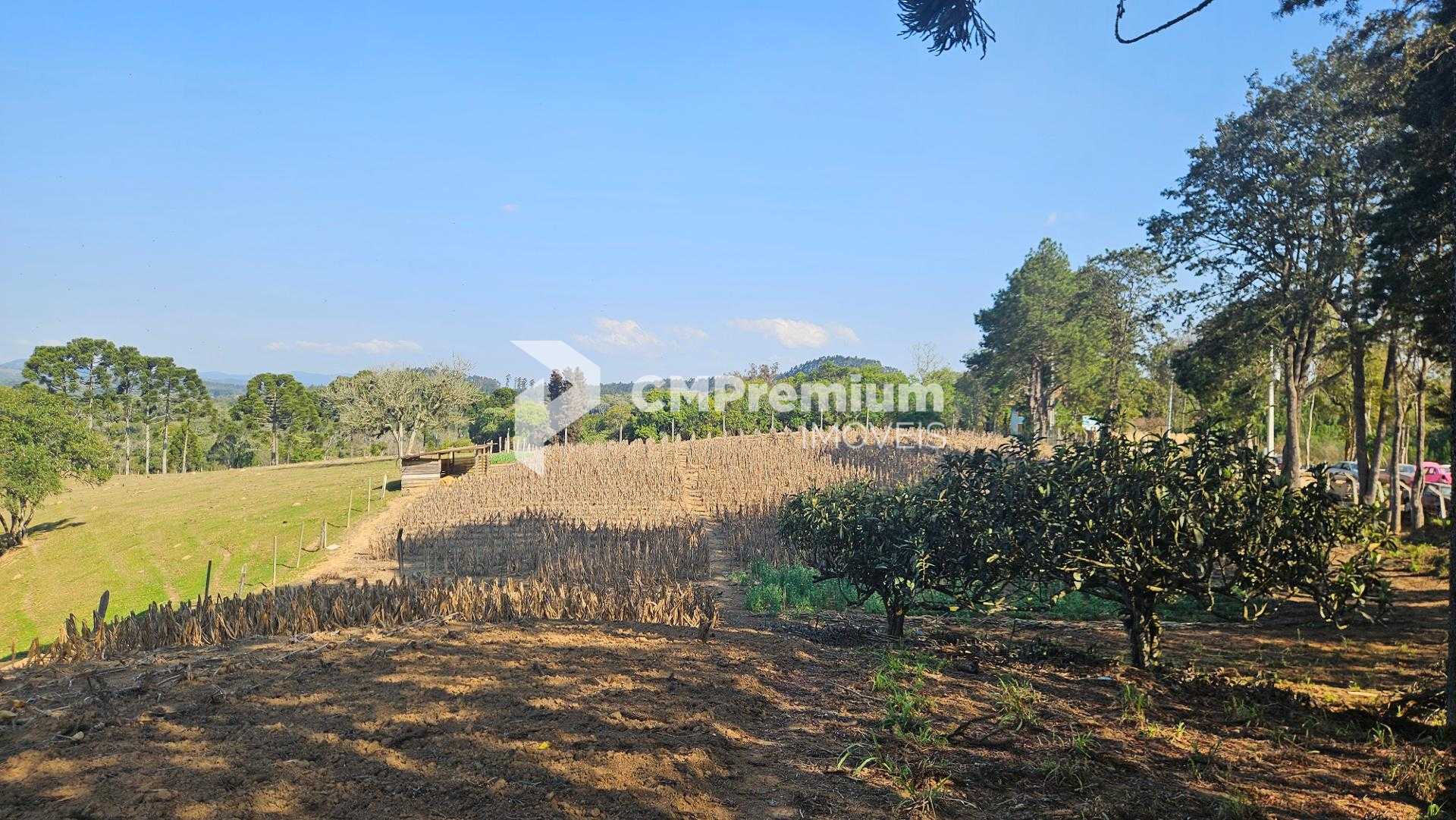 Chácara 20.000 m  em Mandirituba  Casa, pomar, nascentes e açude