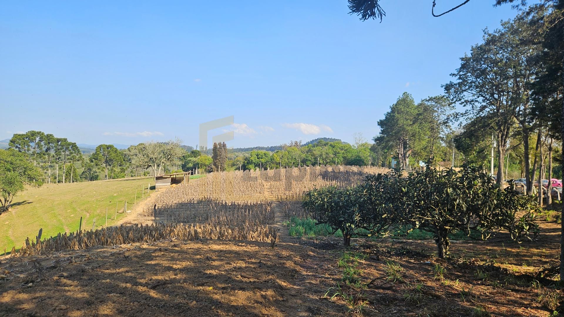 Chácara 20.000 m  com Casa, pomar, nascentes, lago,  em Mandir...