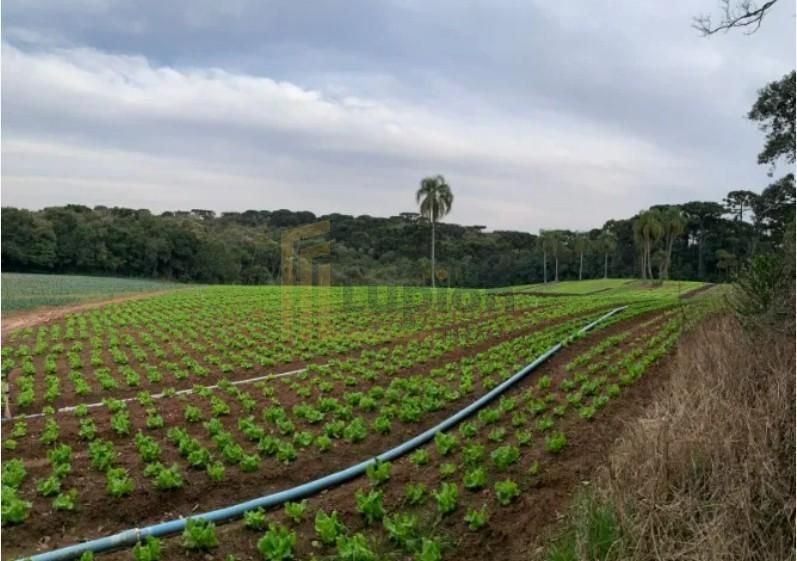 Terreno de 21.000 m  no Umbará  Espaço, Natureza e Privacidade...