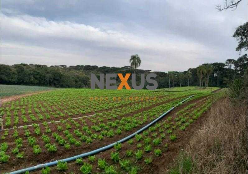 Terreno de 21.000 m  no Umbará  Espaço, Natureza e Privacidade...