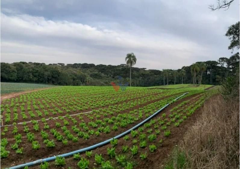 Terreno de 21.000 m  no Umbará  Espaço, Natureza e Privacidade...