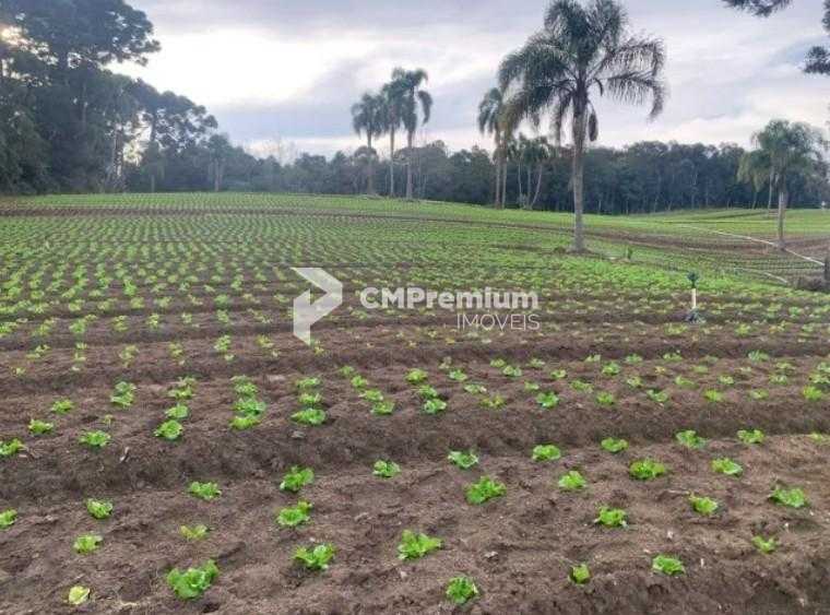Terreno de 21.000 m  no Umbará  Espaço, Natureza e Privacidade...