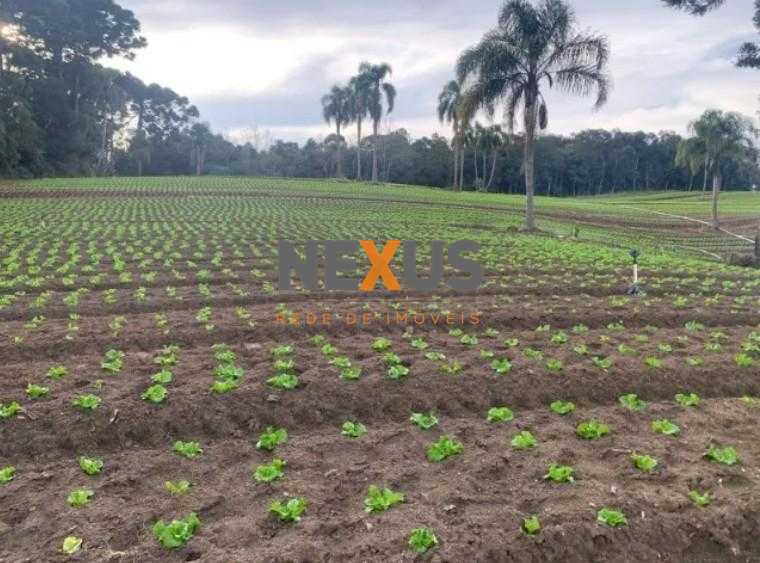 Terreno de 21.000 m  no Umbará  Espaço, Natureza e Privacidade...