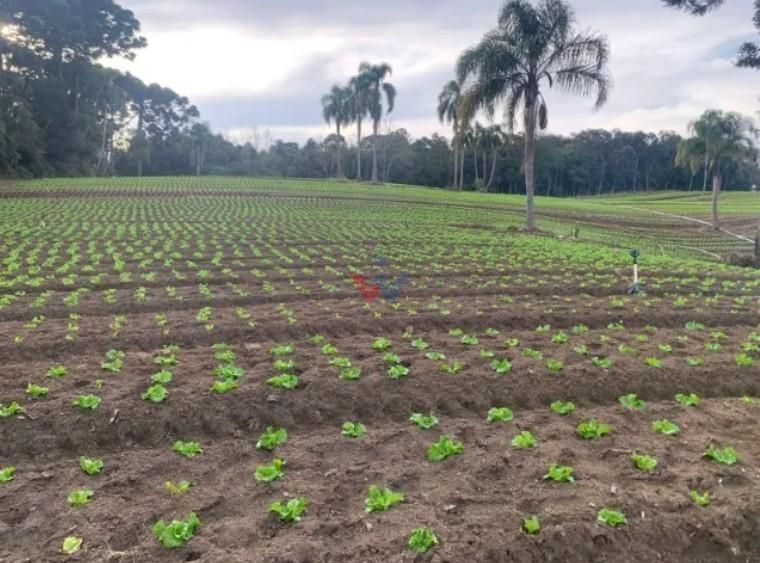 Terreno de 21.000 m  no Umbará  Espaço, Natureza e Privacidade...