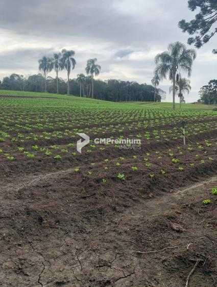 Terreno de 21.000 m  no Umbará  Espaço, Natureza e Privacidade...