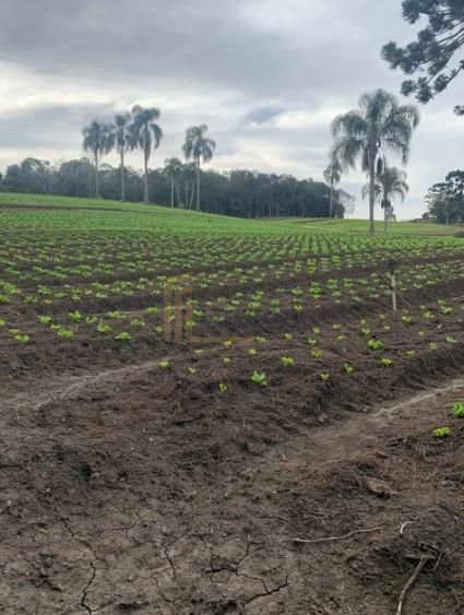 Terreno de 21.000 m  no Umbará  Espaço, Natureza e Privacidade...