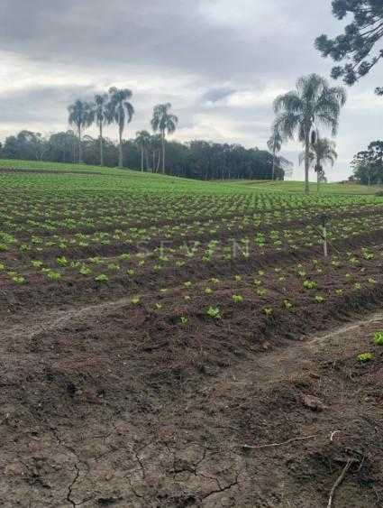 Terreno de 21.000 m  no Umbará  Espaço, Natureza e Privacidade...