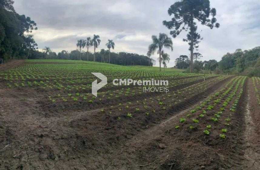 Terreno de 21.000 m  no Umbará  Espaço, Natureza e Privacidade...