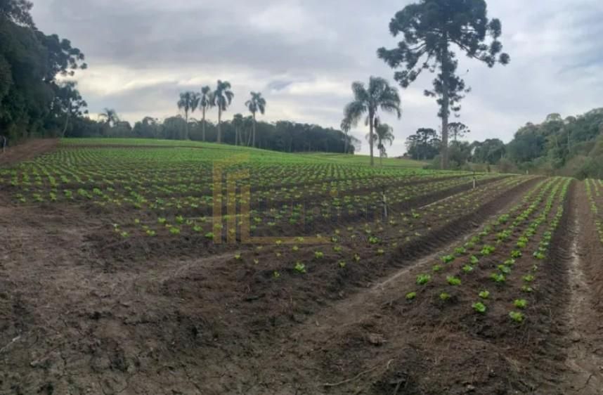 Terreno de 21.000 m  no Umbará  Espaço, Natureza e Privacidade...