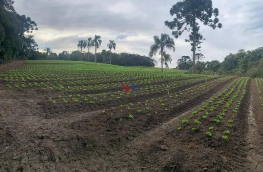 Terreno de 21.000 m  no Umbará  Espaço, Natureza e Privacidade...