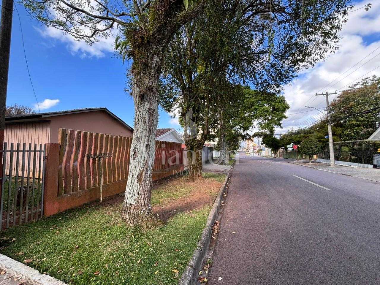 Terreno Amplo de 559m  no Capão Raso  Oportunidade para Invest...