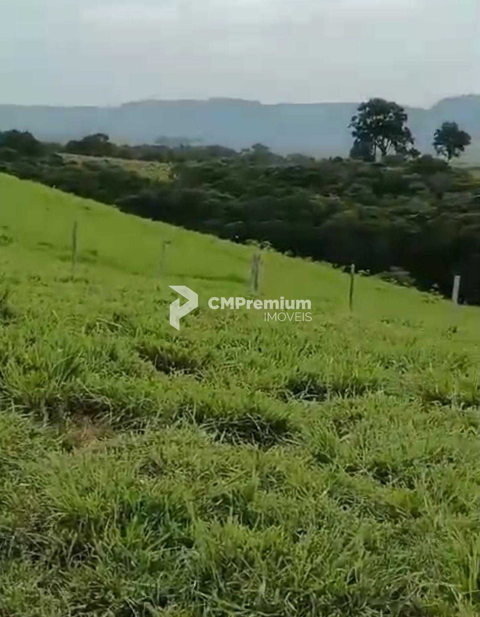 Fazenda à Venda em Prudentópolis  22 Alqueires, Estrutura Comp...