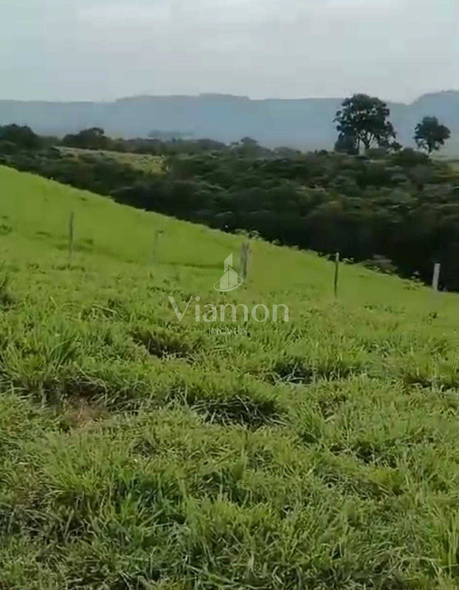 Fazenda à Venda em Prudentópolis  22 Alqueires, Estrutura Comp...