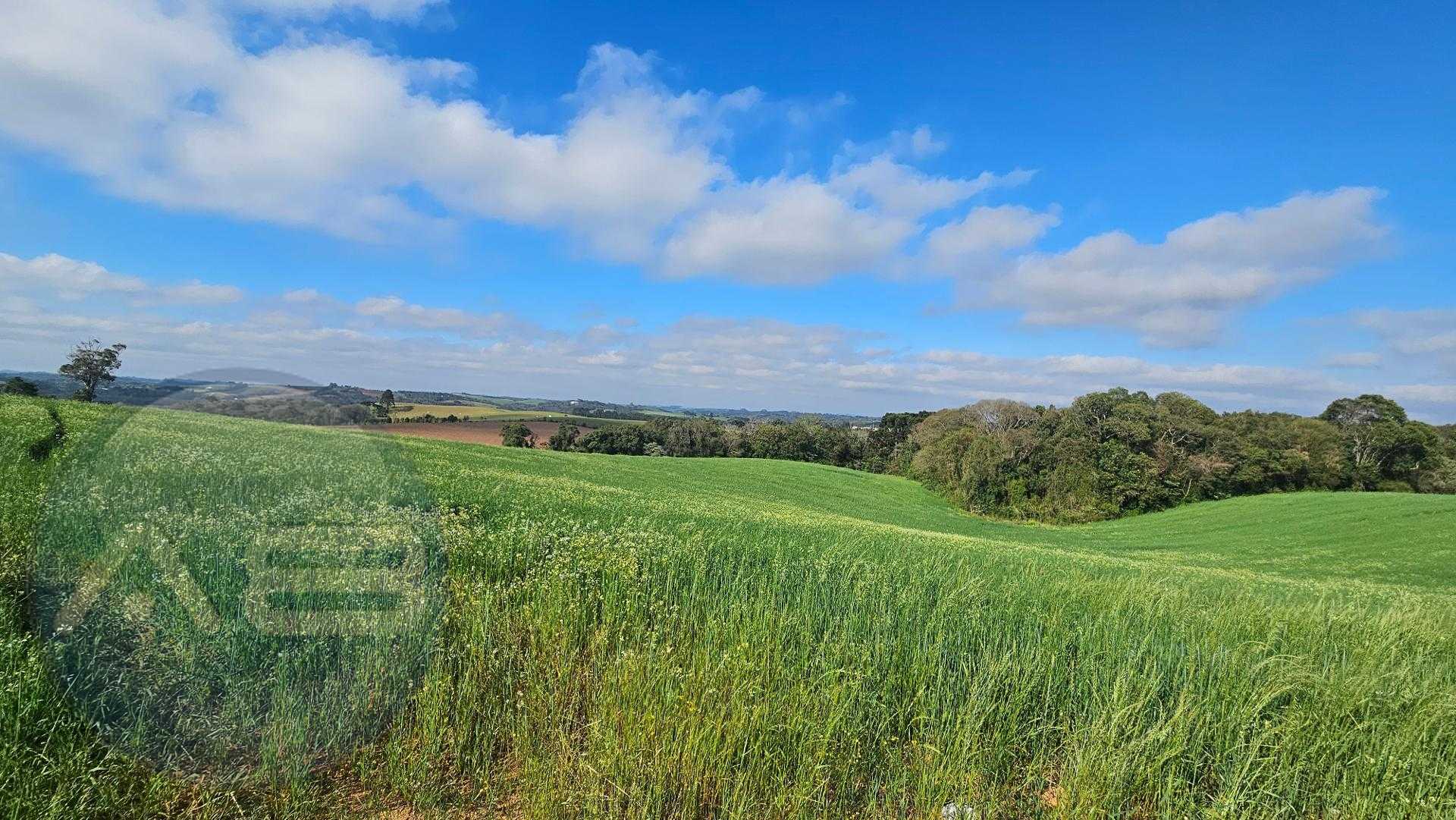 Chácara 20.000m  em Araucária  Frente Asfalto, Vista Linda e Z...
