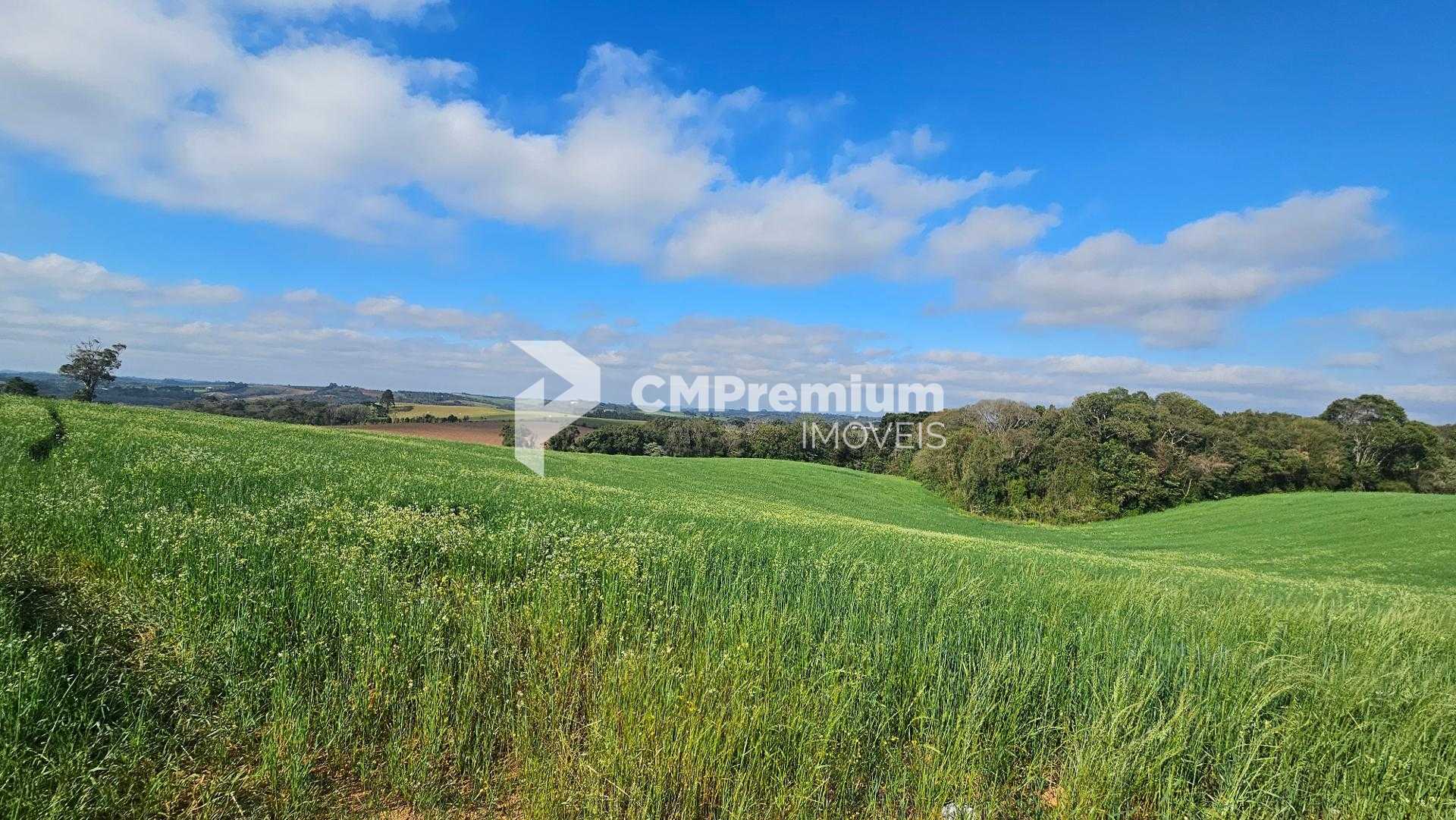 Chácara 20.000m  em Araucária  Frente Asfalto, Vista Linda e Z...