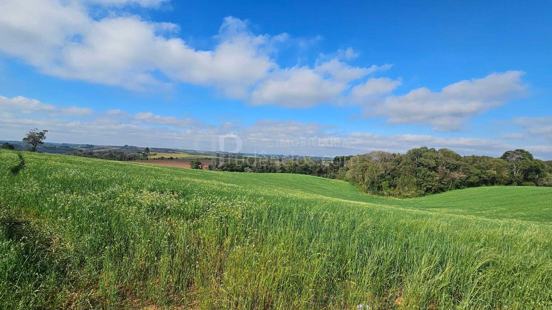 Chácara 20.000m  em Araucária  Frente Asfalto, Vista Linda e Z...