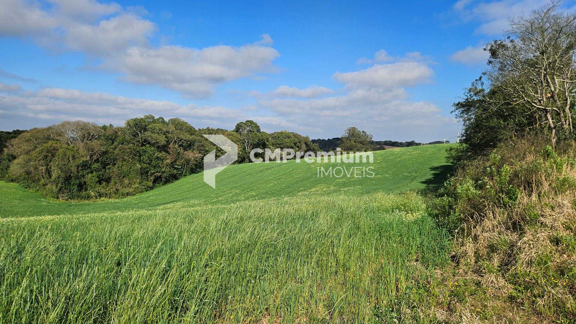 Chácara 20.000m  em Araucária  Frente Asfalto, Vista Linda e Z...