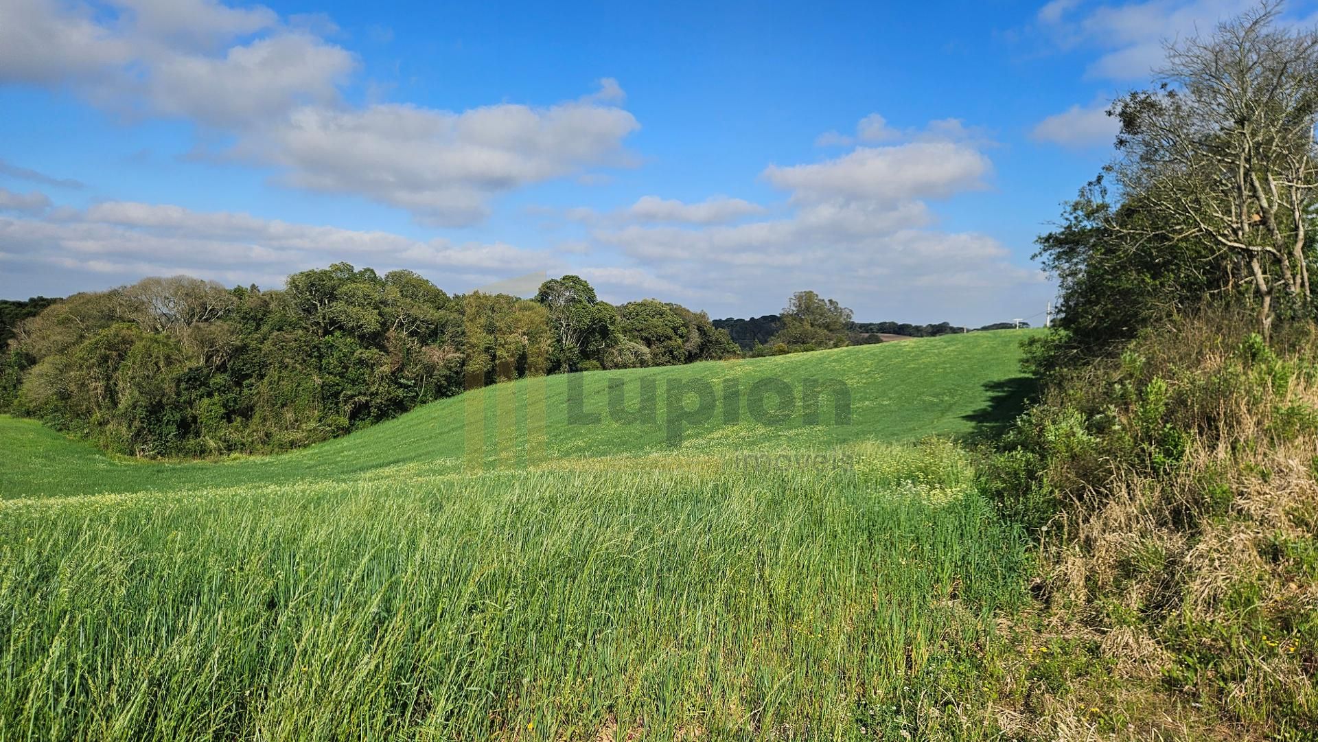 Chácara 20.000m  em Araucária  Frente Asfalto, Vista Linda e Z...