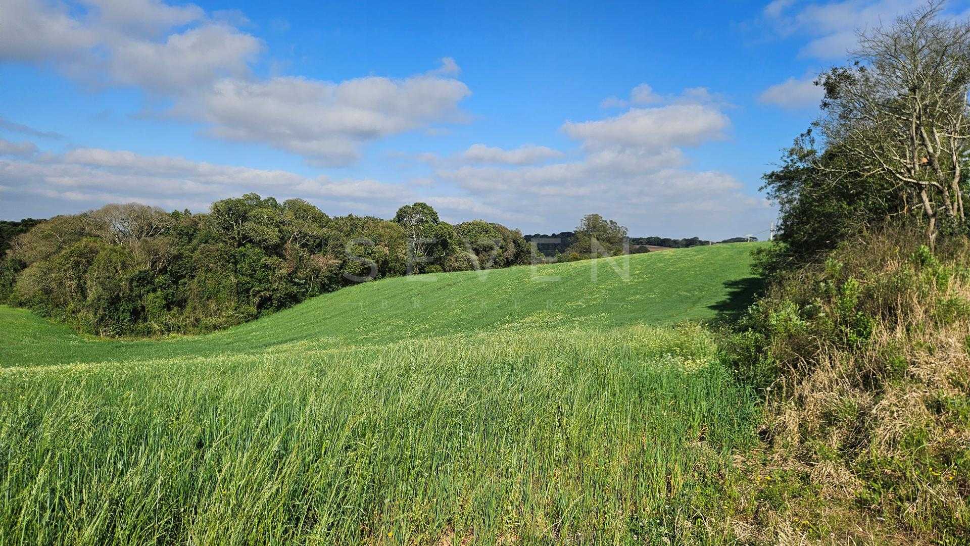 Chácara 20.000m  em Araucária  Frente Asfalto, Vista Linda e Z...