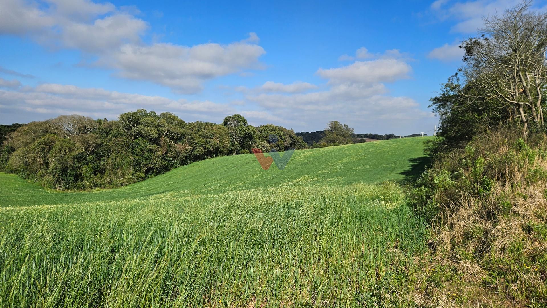 Chácara 20.000m  em Araucária  Frente Asfalto, Vista Linda e Z...