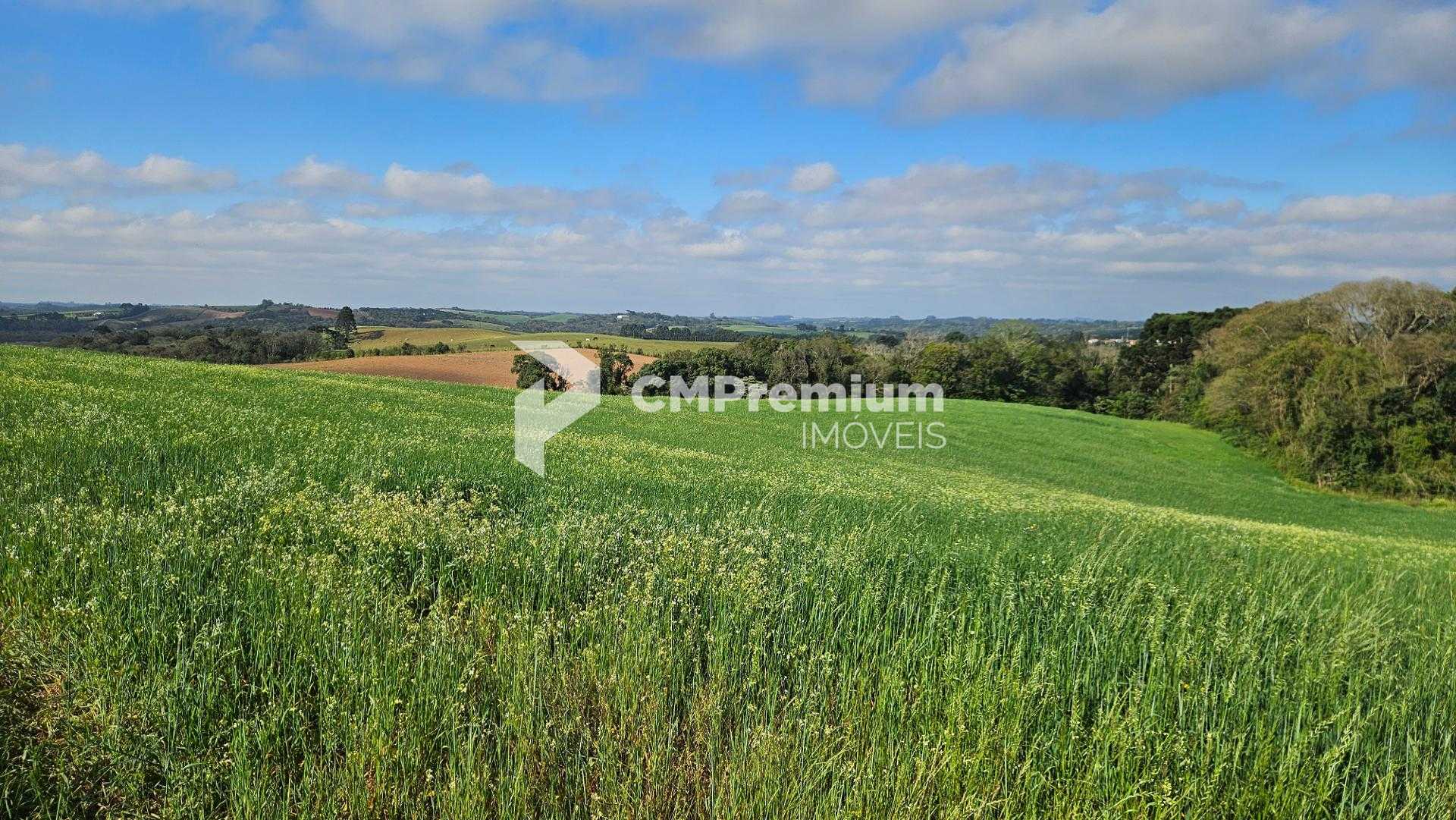 Chácara 20.000m  em Araucária  Frente Asfalto, Vista Linda e Z...