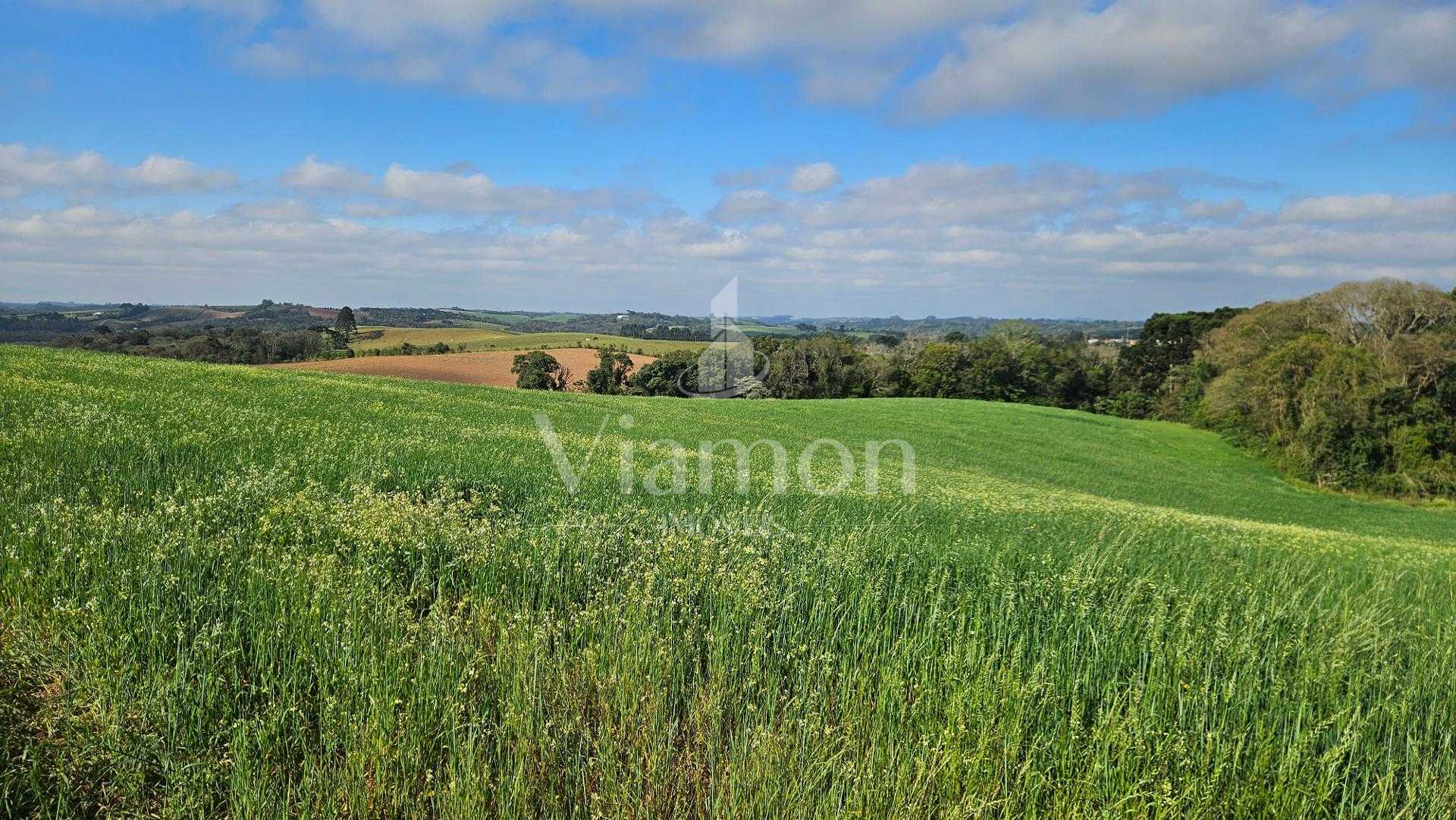 Chácara 20.000m  em Araucária  Frente Asfalto, Vista Linda e Z...